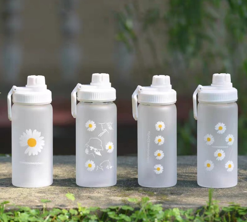 550ML 18.6oz Bottle Little Daisy Frosted Water Cup