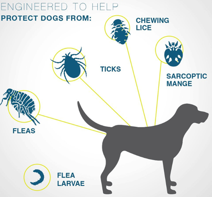Pet Repellent Circle Dog Leash
