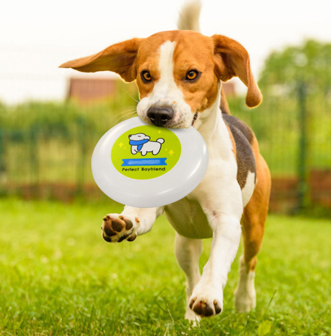 Plastic Flying Disks for Pets Outdoors Beach Backyard Sports Classic Play Discs for Kids & Adults