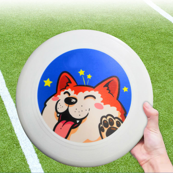 Plastic Flying Disks for Pets Outdoors Beach Backyard Sports Classic Play Discs for Kids & Adults