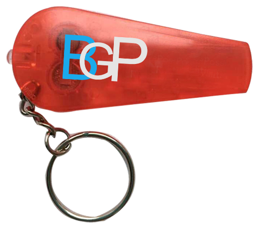 Transparent Whistle Keylight Key Holder Key Chain