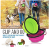 Collapsible Dog Bowl for Travel