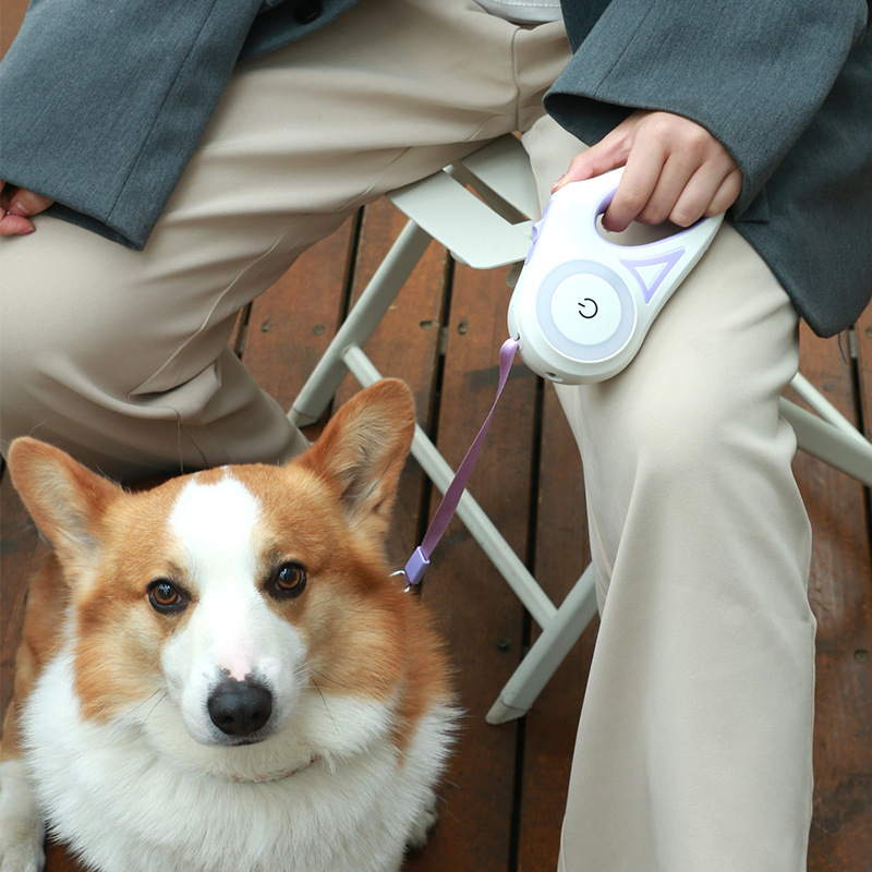 Outdoor Pet Accessory Auto Dog Leash Retractable Dog Leash