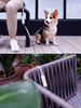 Dog Leash Medium Small Dog Reflective Nylon Anti-Los
