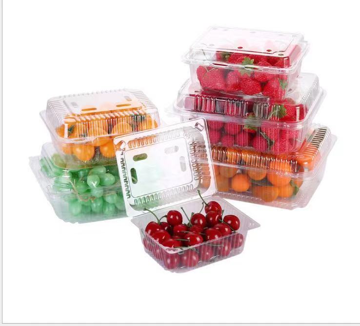 Disposable Environmentally Friendly Food Boxes
